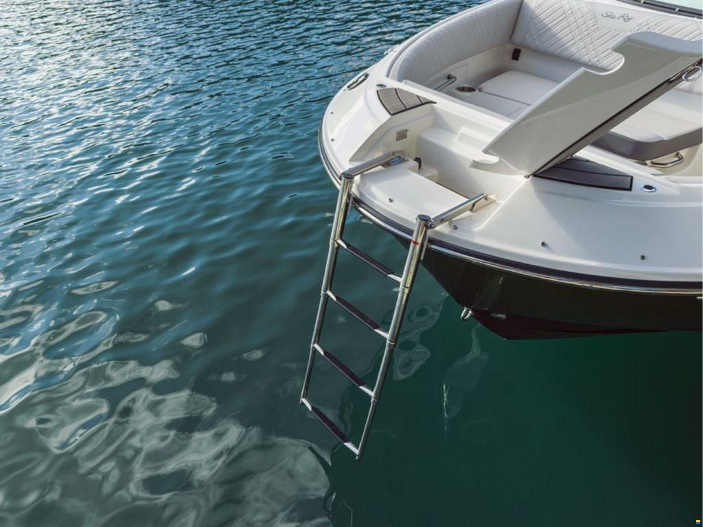 Sea Ray SDX 250