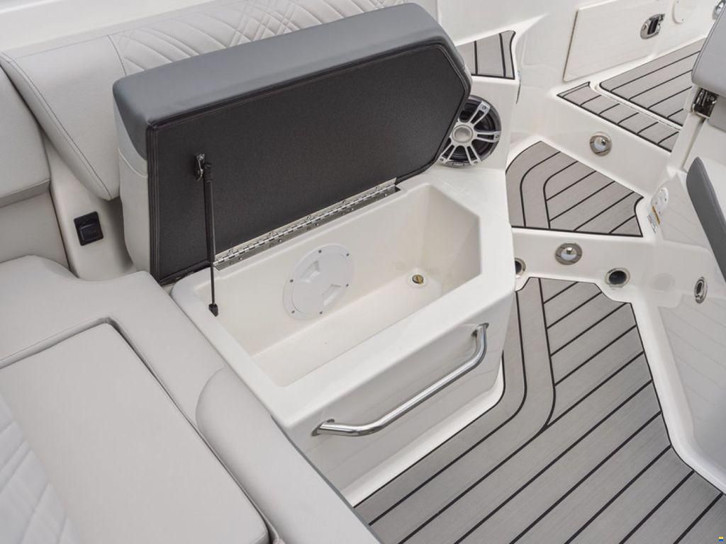 Sea Ray SDX 250
