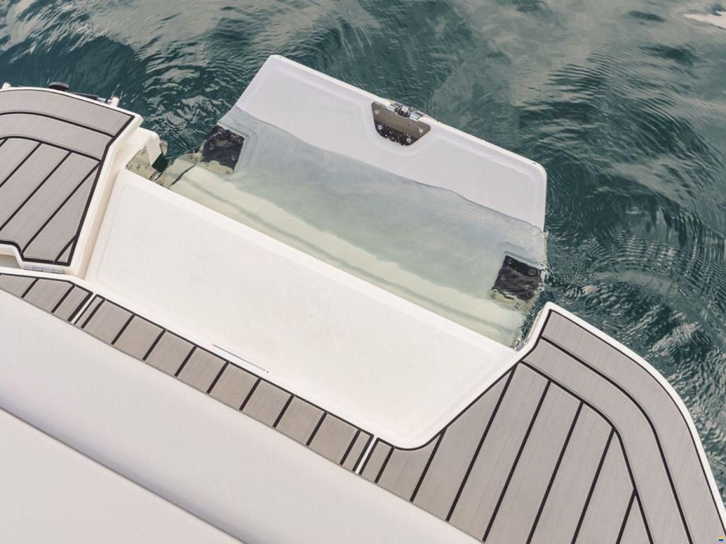 Sea Ray SDX 250
