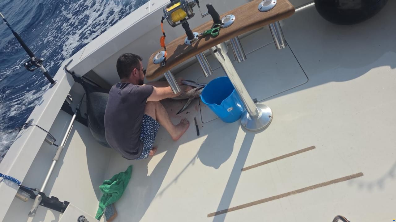 Luhrs 290 Tournament – 2x Yanmar Diesel