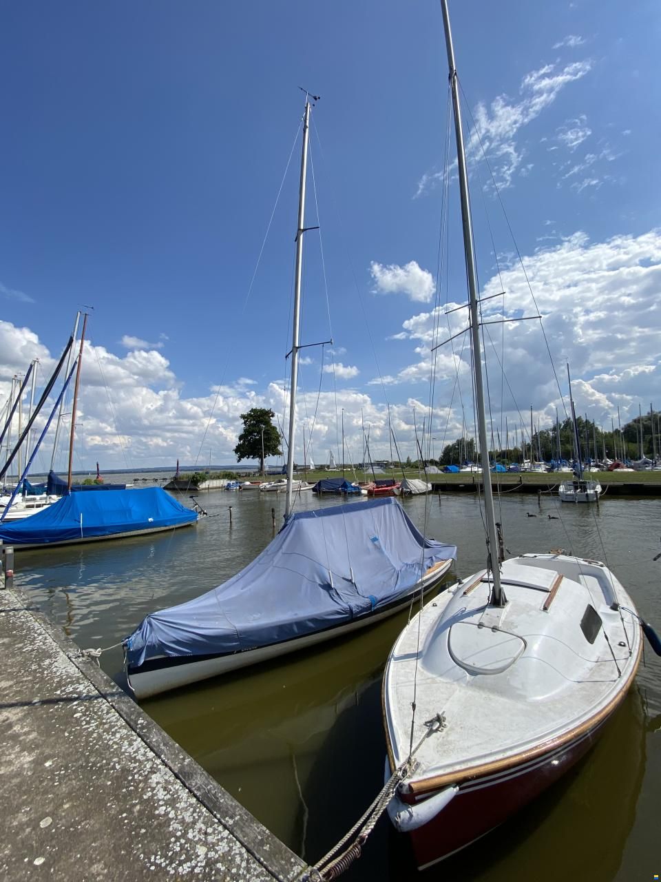 Kother Jollenkreuzer