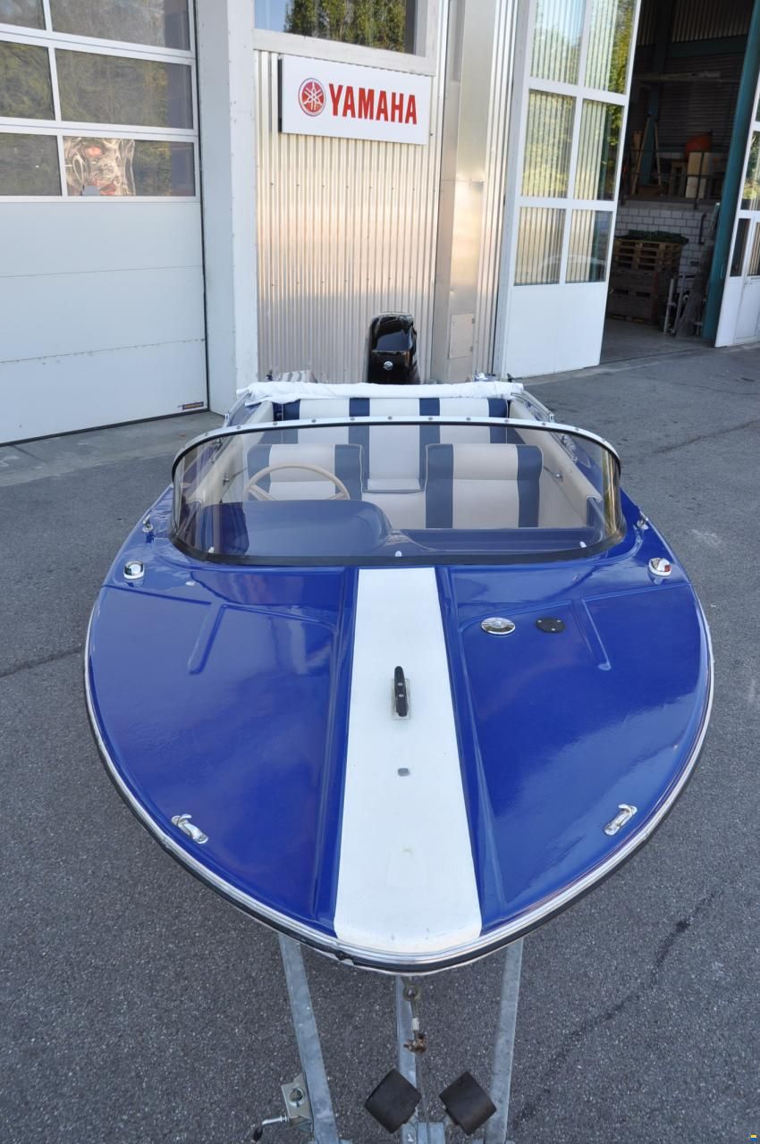 Schweizer SAPHIR 1H