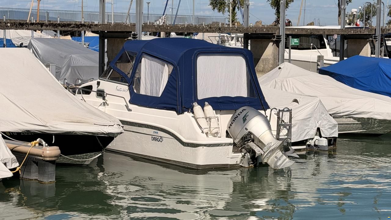 Drago Fiesta 600