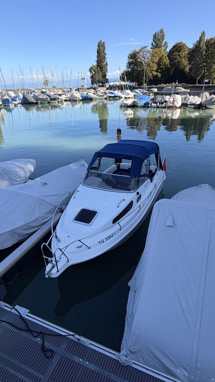 Drago Fiesta 600