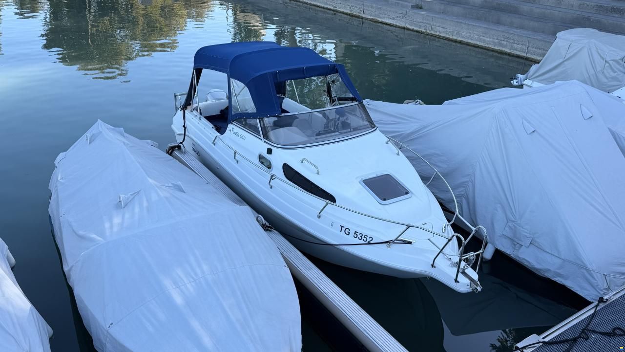 Drago Fiesta 600