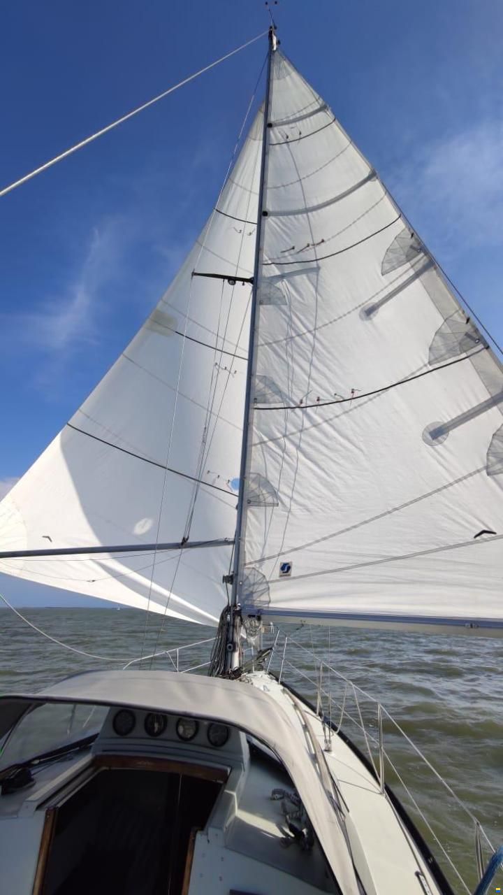Dufour 29