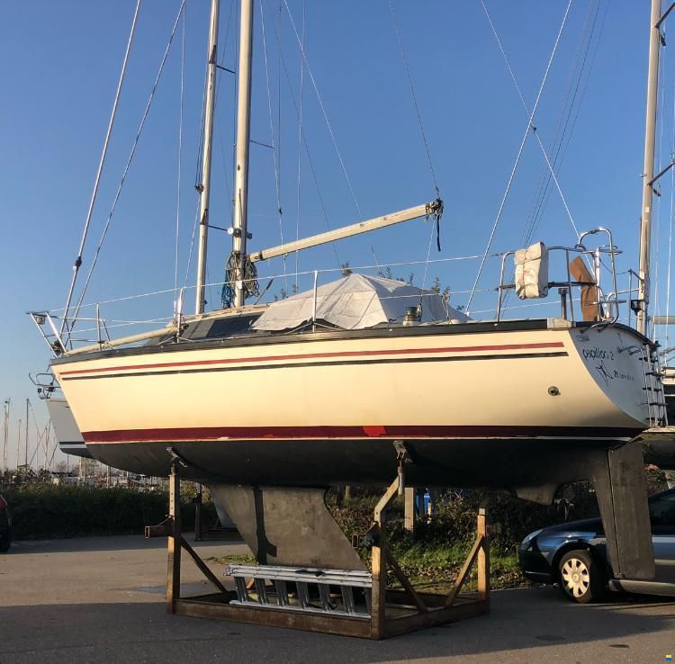 Dufour 29
