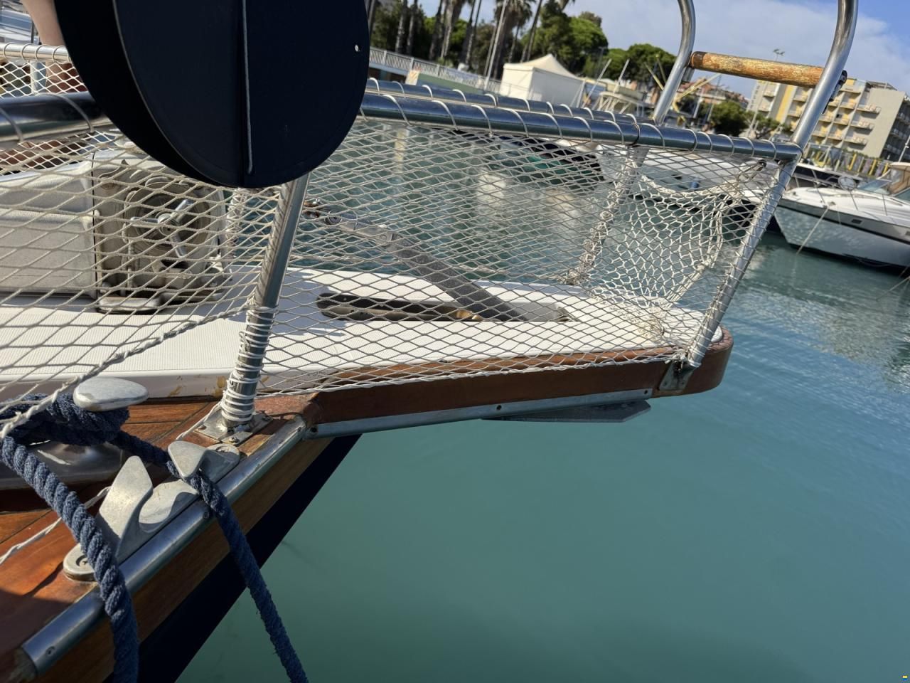 Sciallino 33