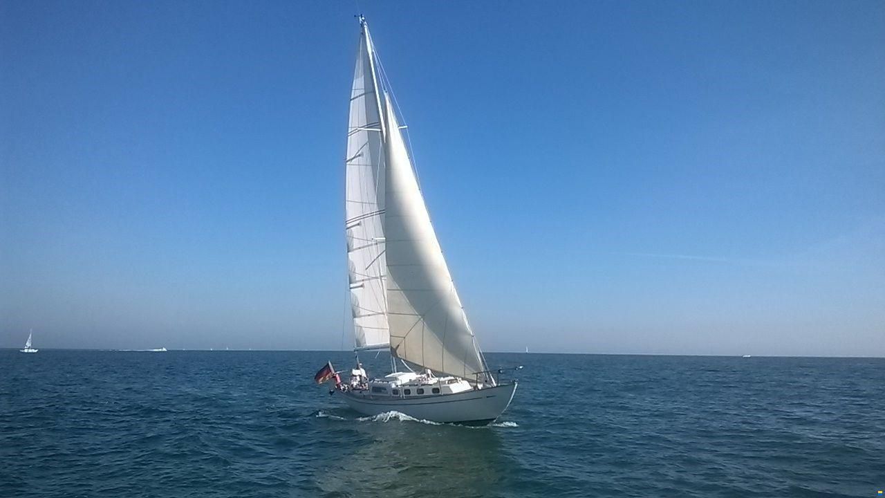 Alpa 11 Maica