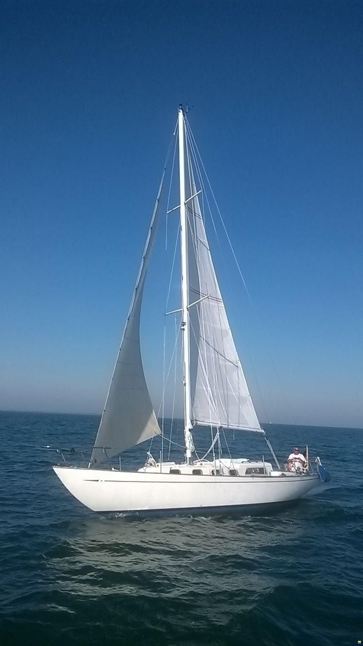 Alpa 11 Maica