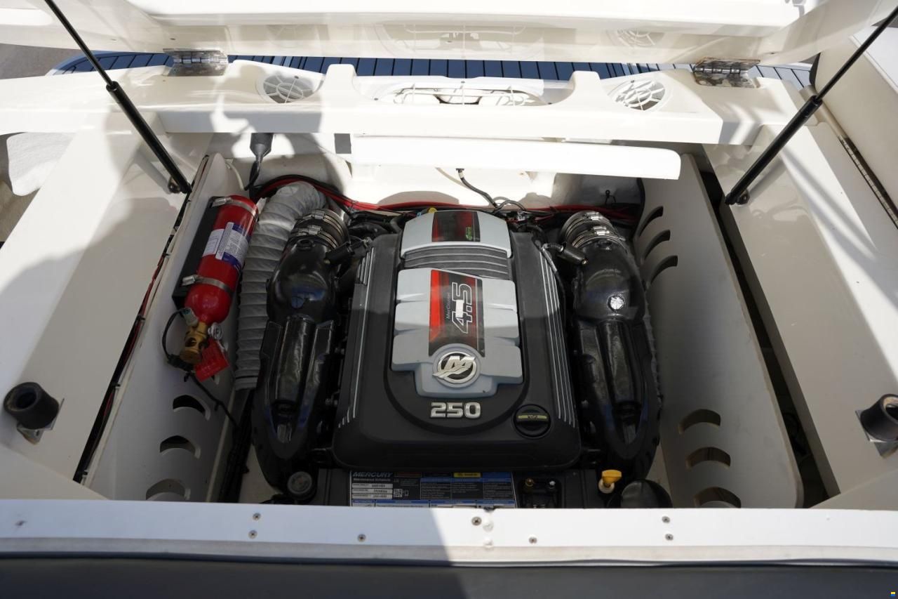 Sea Ray 230 SPXE 2017