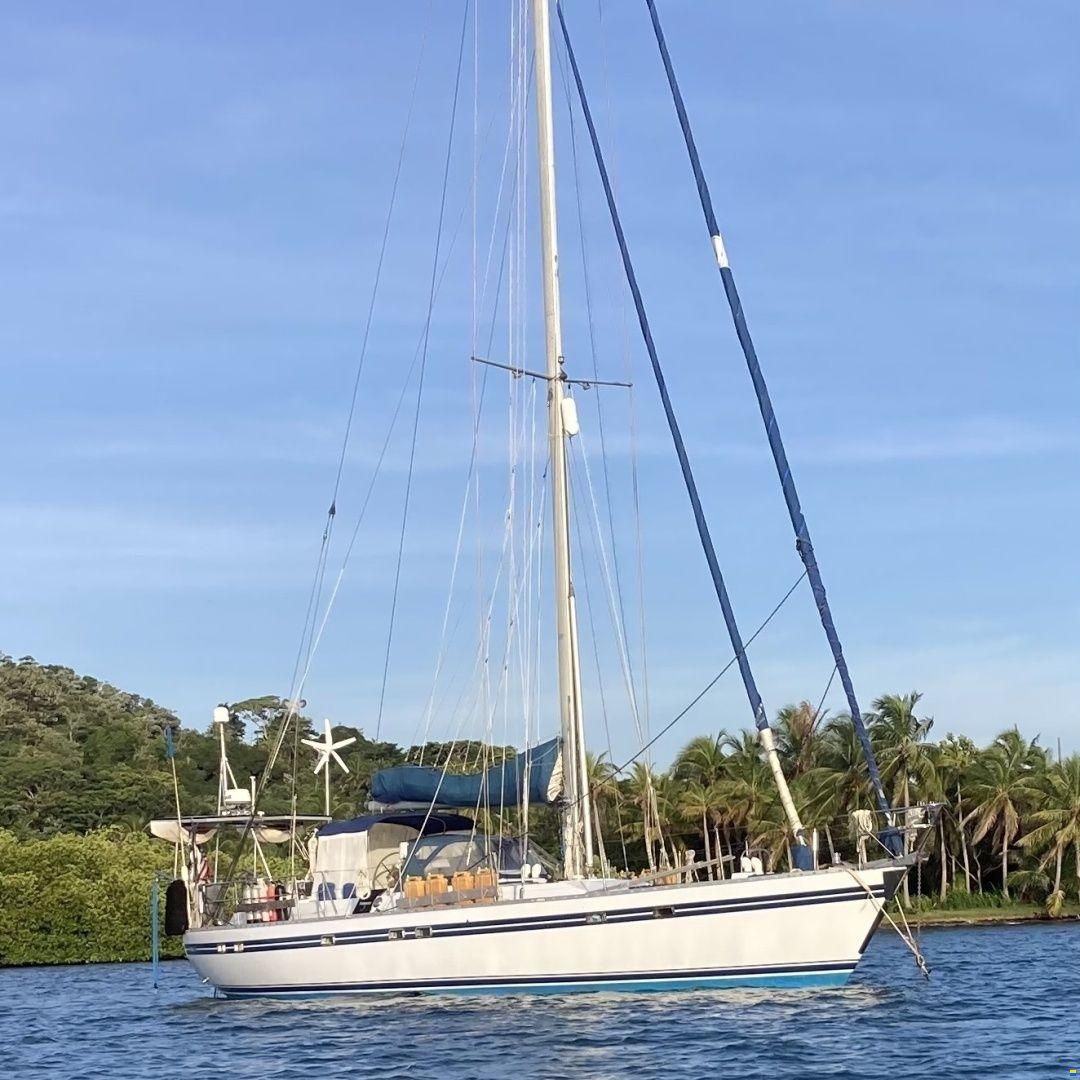Tayana 55