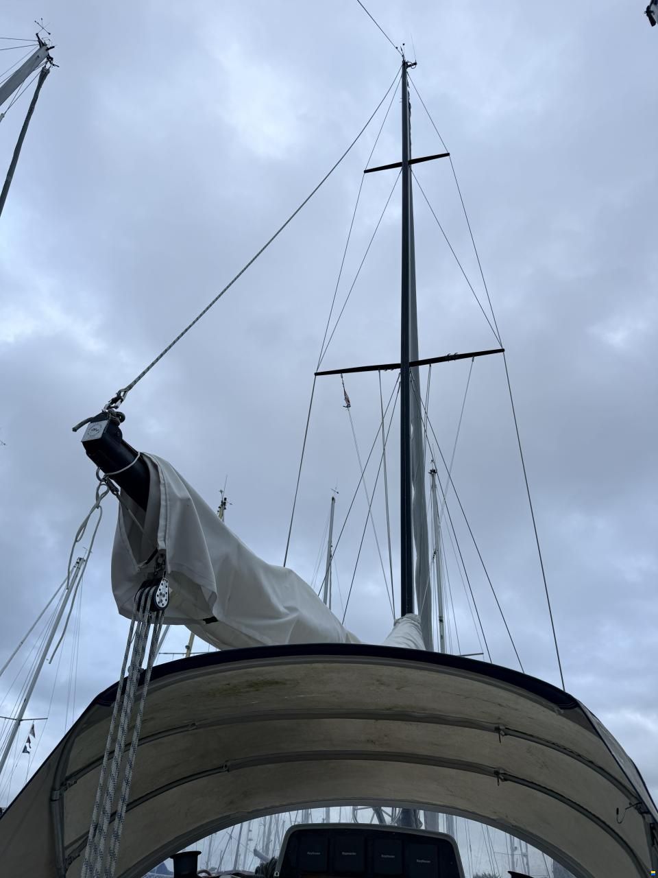 Puma 34