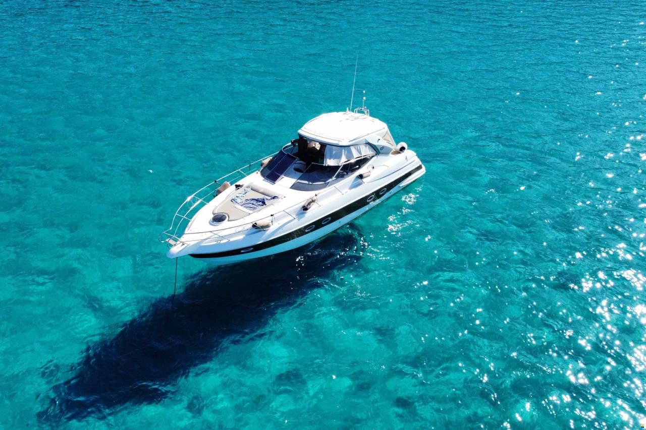 Sessa C42