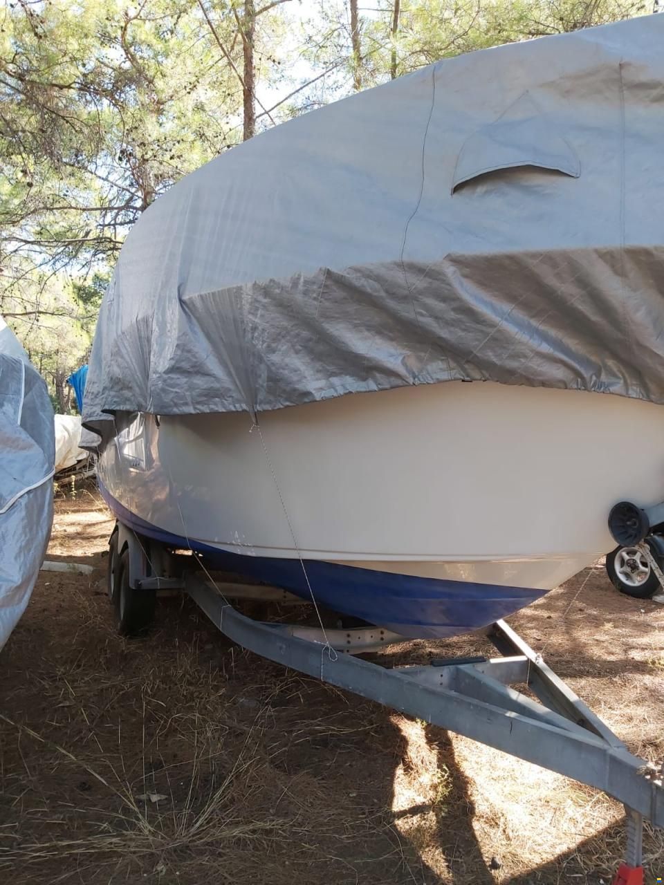 Crownline 242 CR