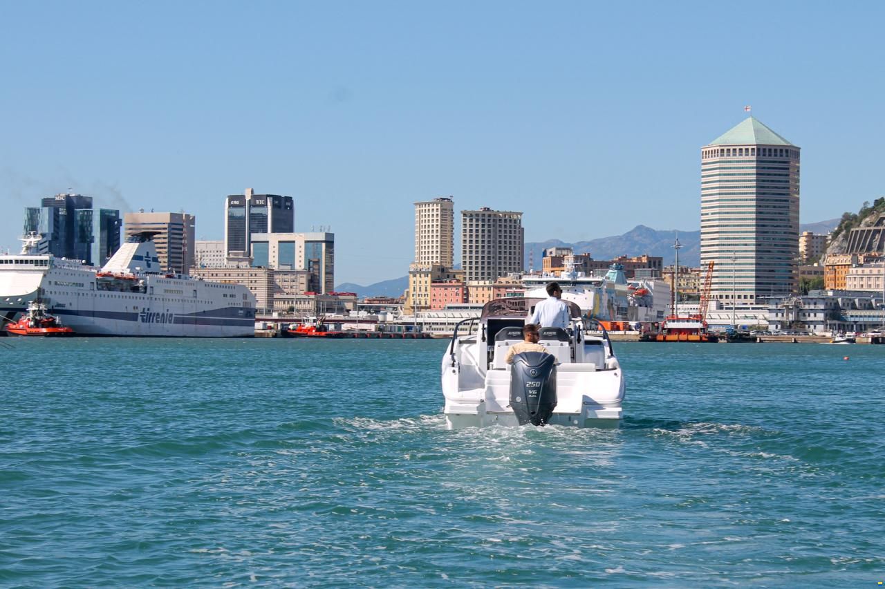 Ranieri Boat Sauvage 24