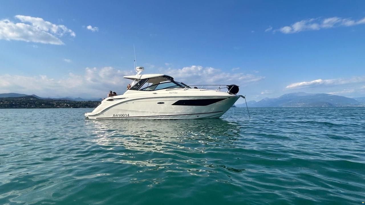 Sea Ray Sundancer 320