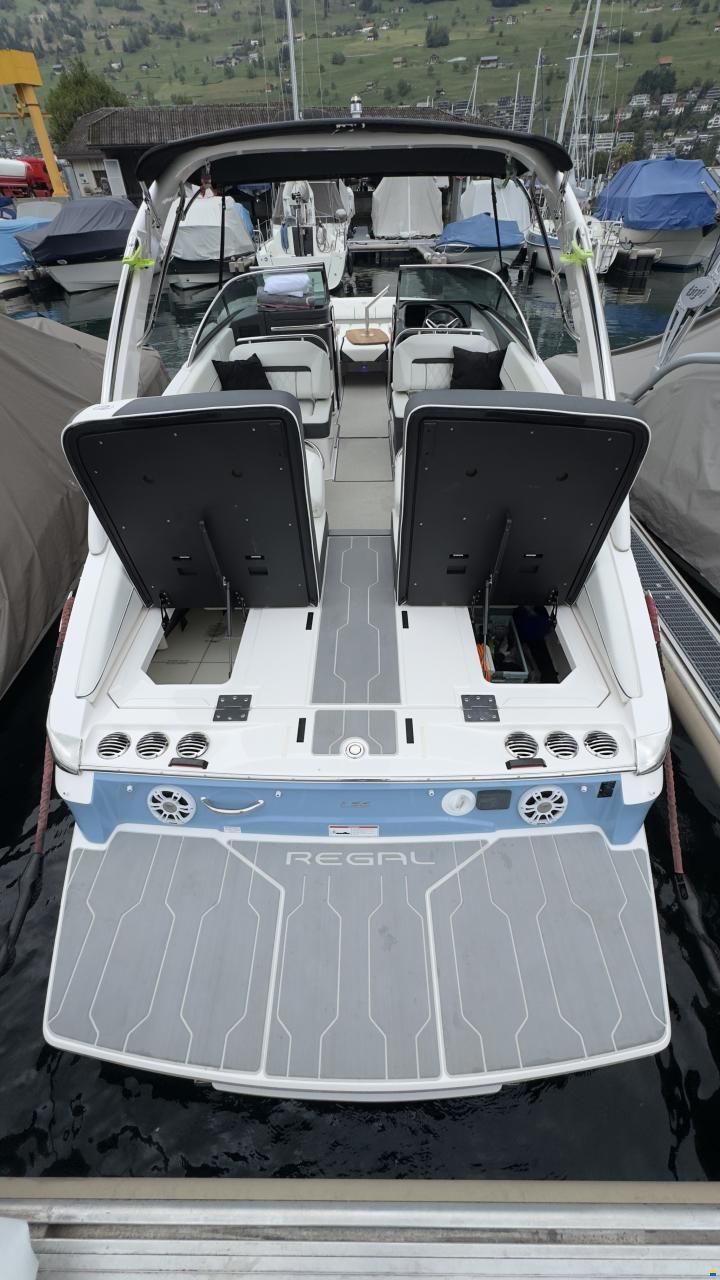 Regal LS6 Hensa Edition