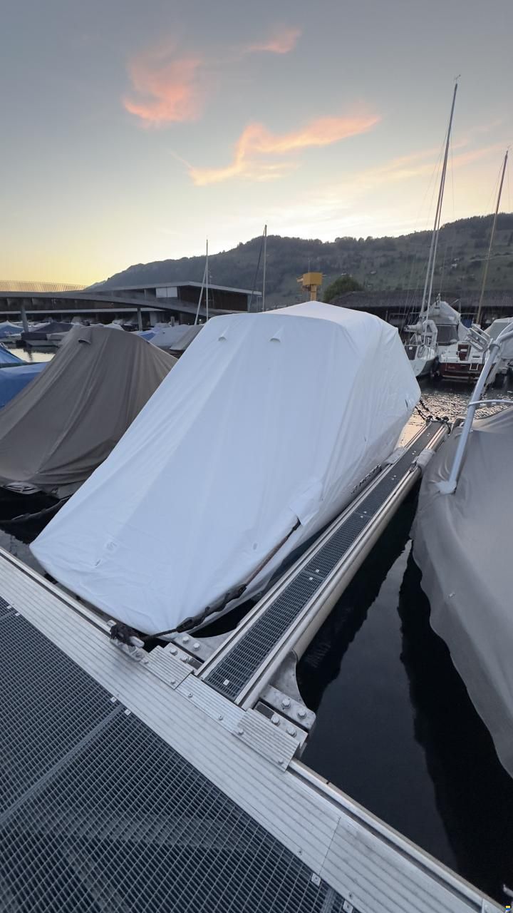 Regal LS6 Hensa Edition