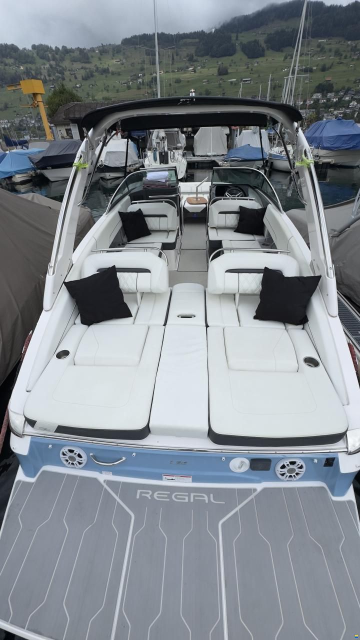 Regal LS6 Hensa Edition