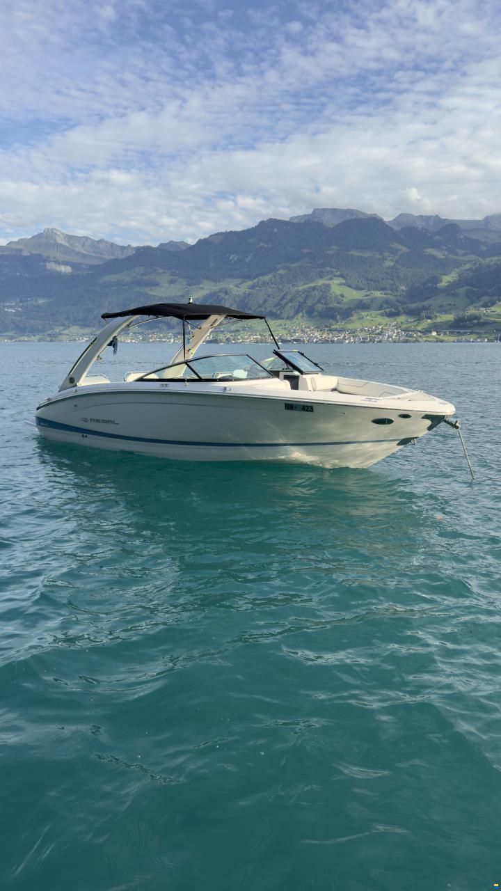 Regal LS6 Hensa Edition