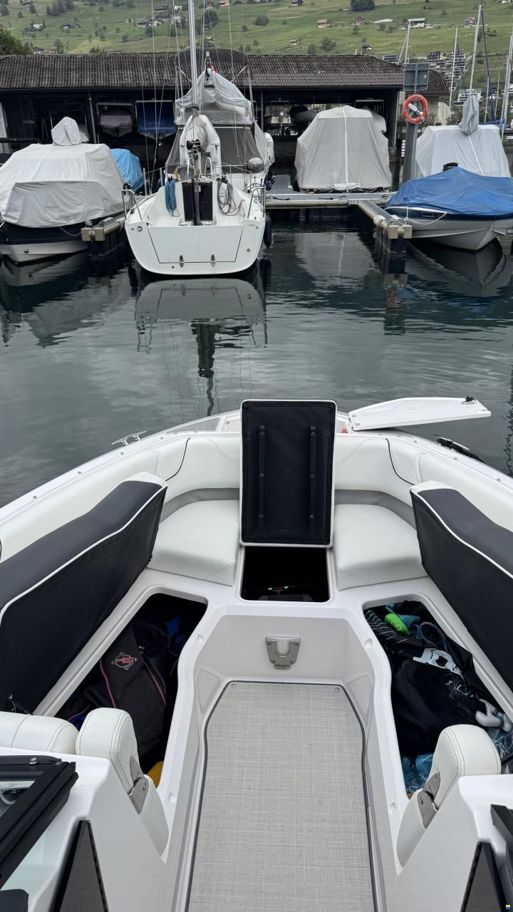 Regal LS6 Hensa Edition