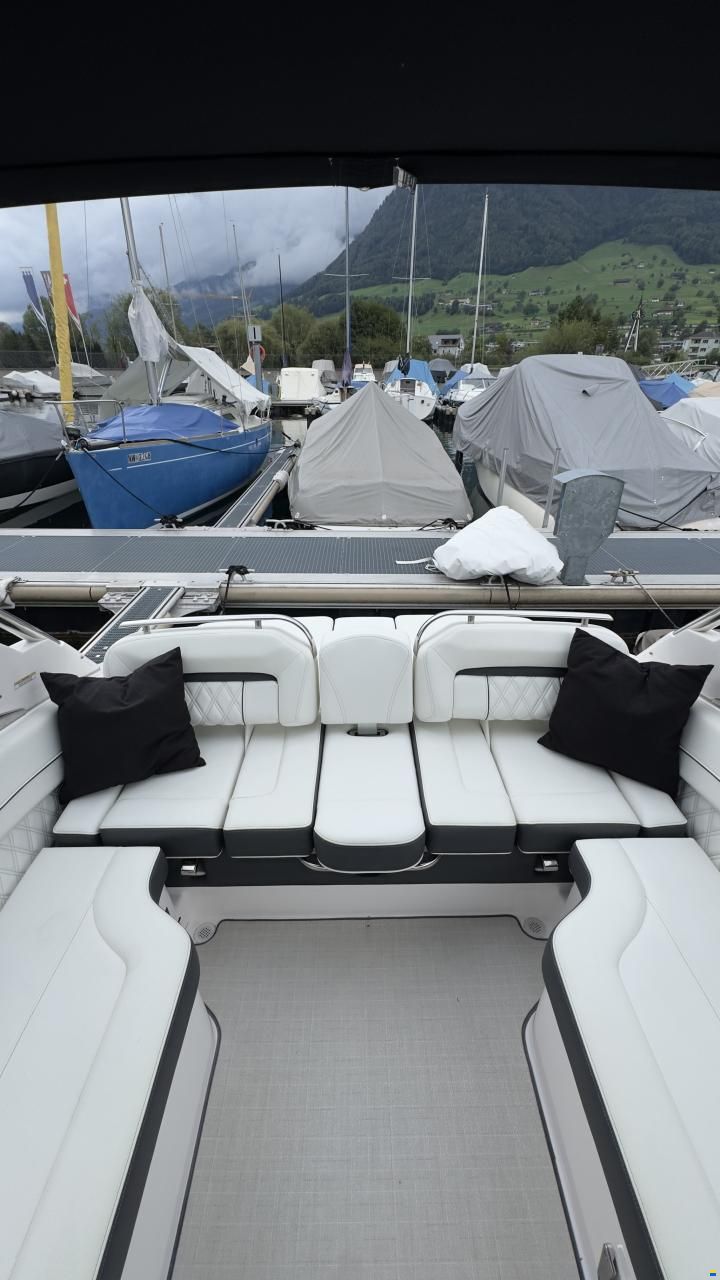 Regal LS6 Hensa Edition