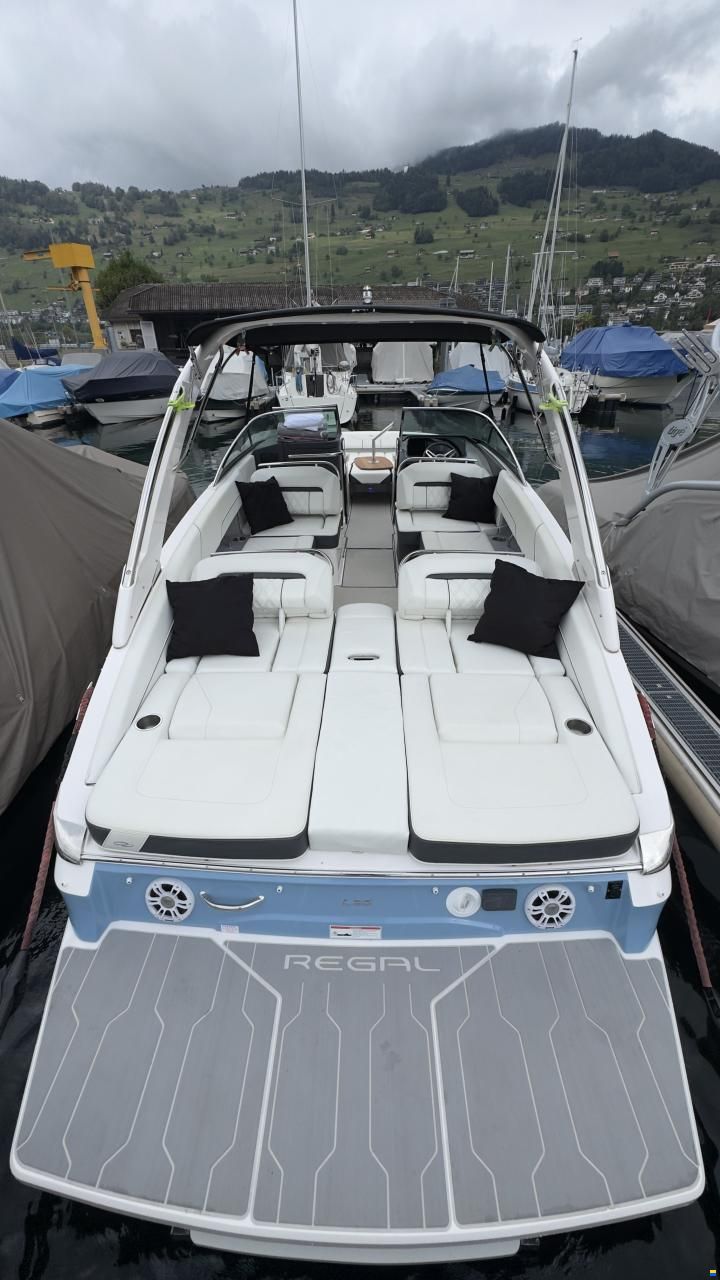 Regal LS6 Hensa Edition