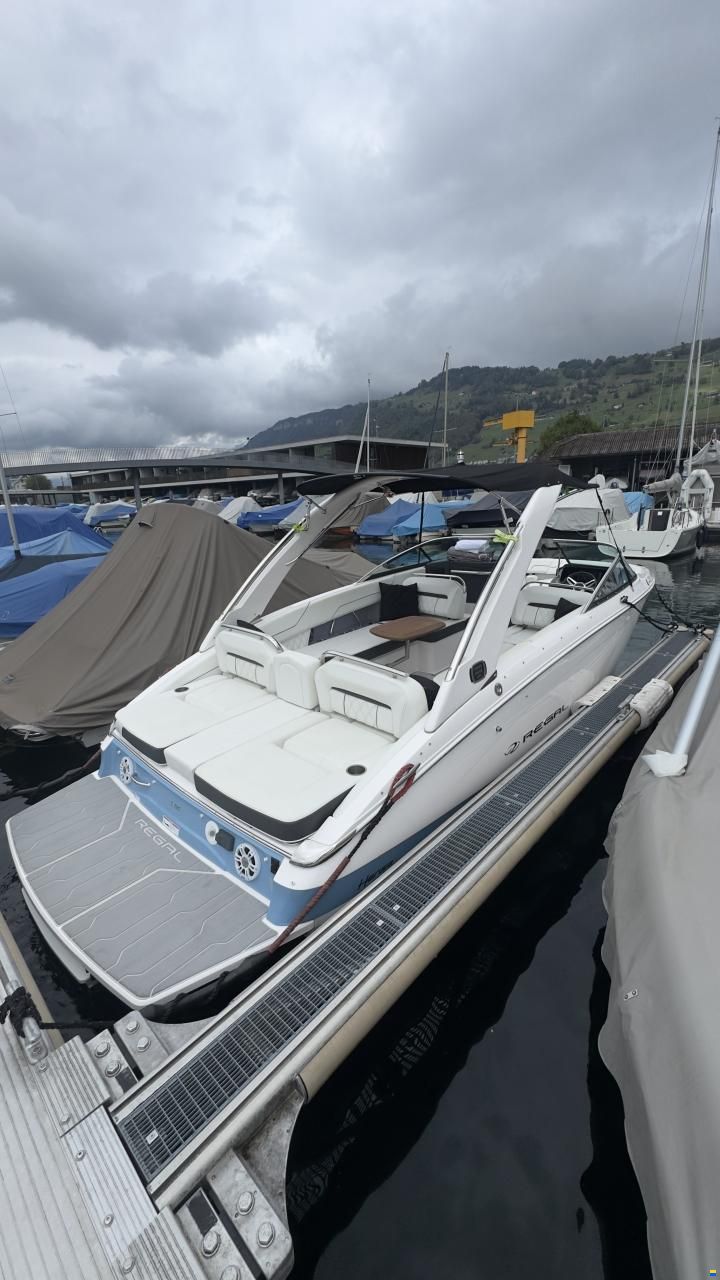 Regal LS6 Hensa Edition