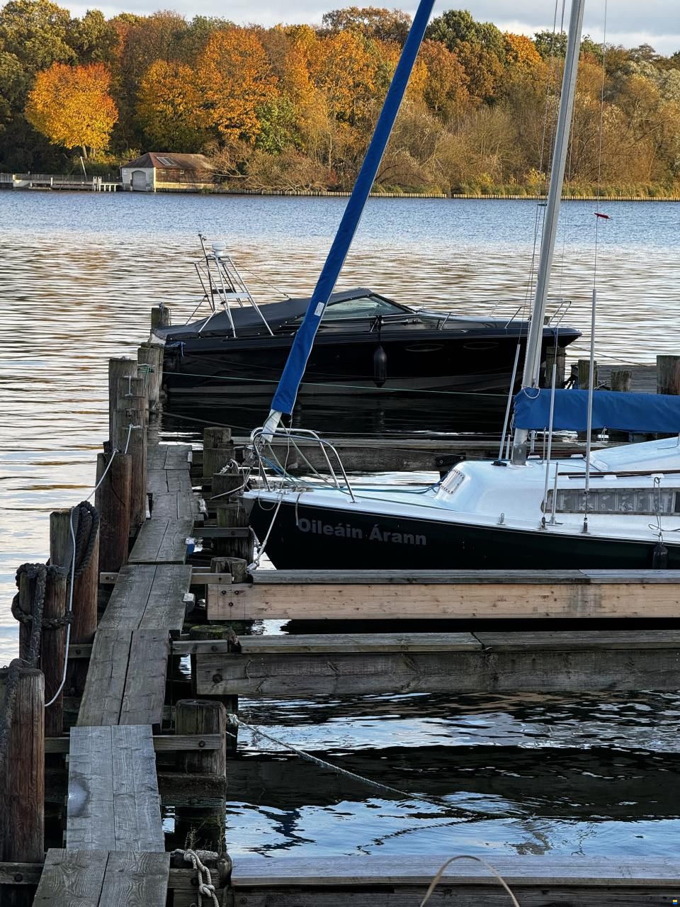 Sea Ray 210cc