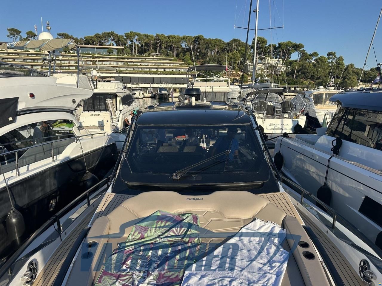 Salpa Soleil 52