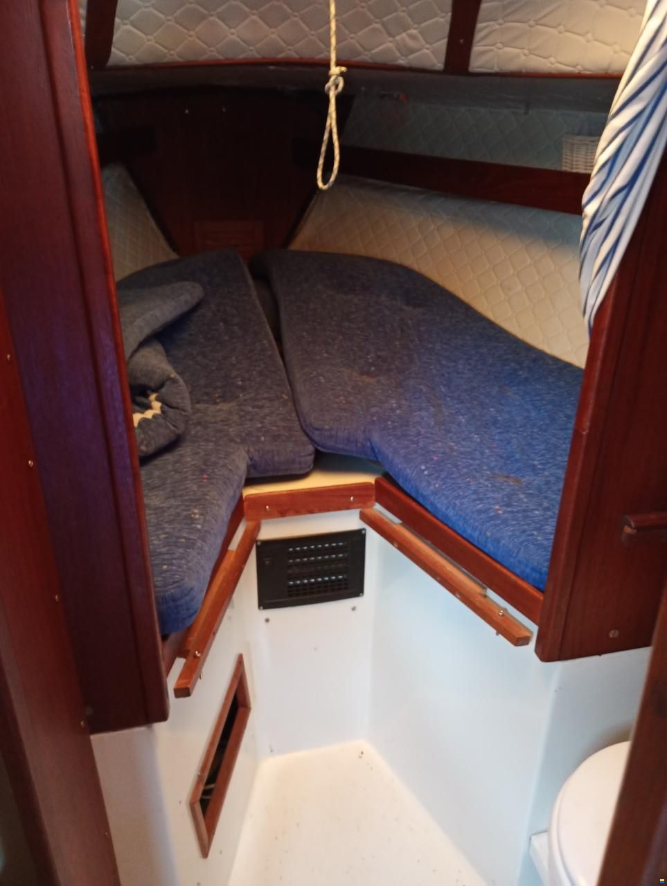 Comfortina Comfort 30