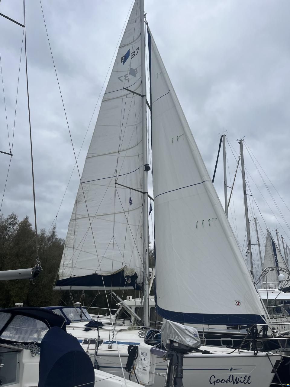Bavaria 37-3