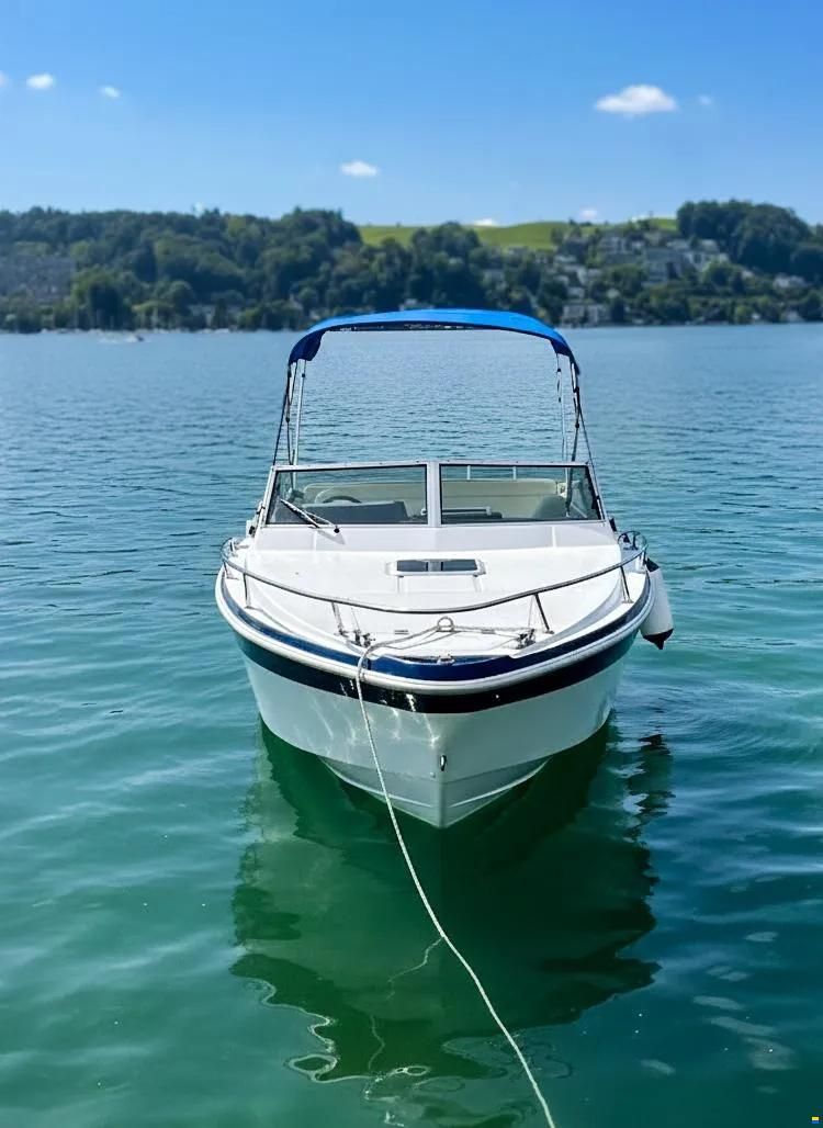Gobbi 23 Offshore