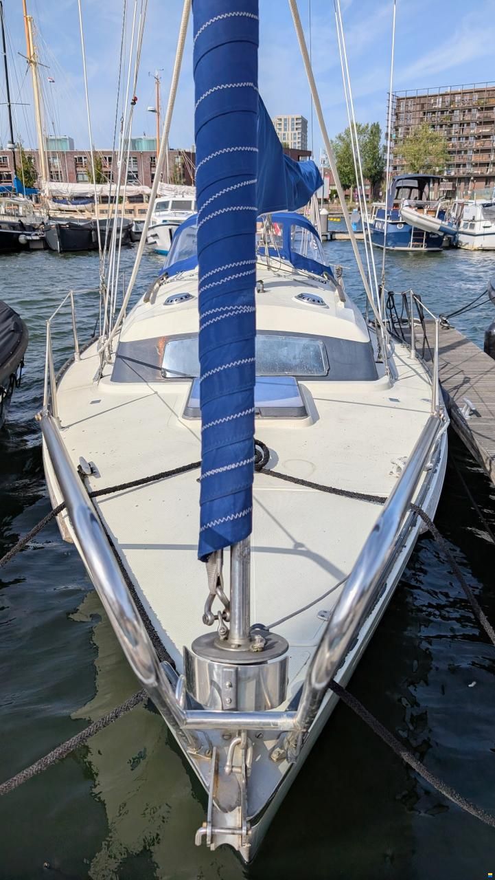 Sturgeon 28