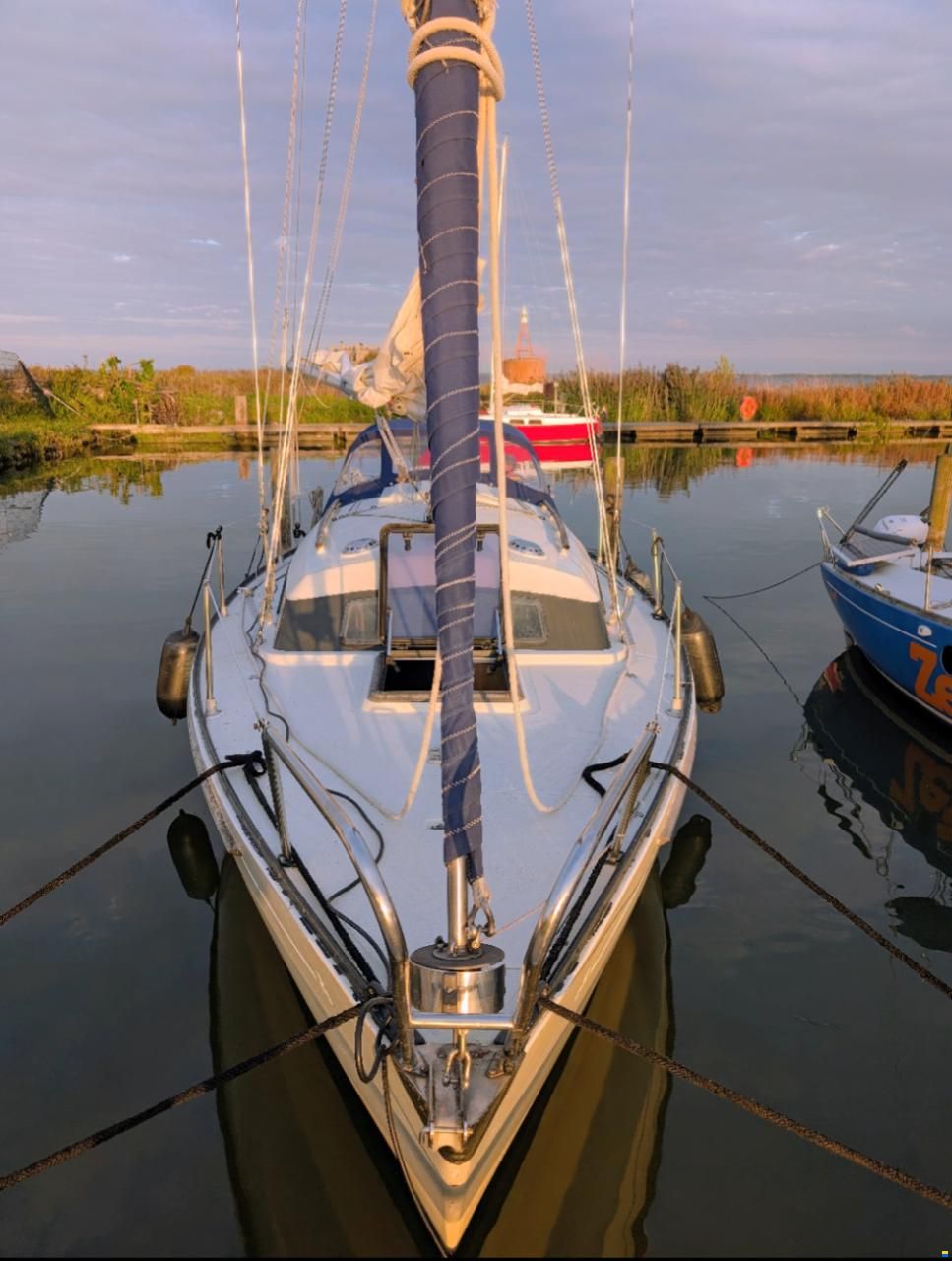 Sturgeon 28