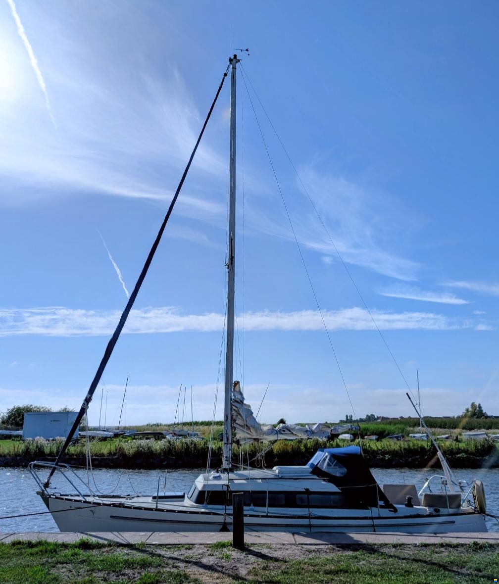 Sturgeon 28