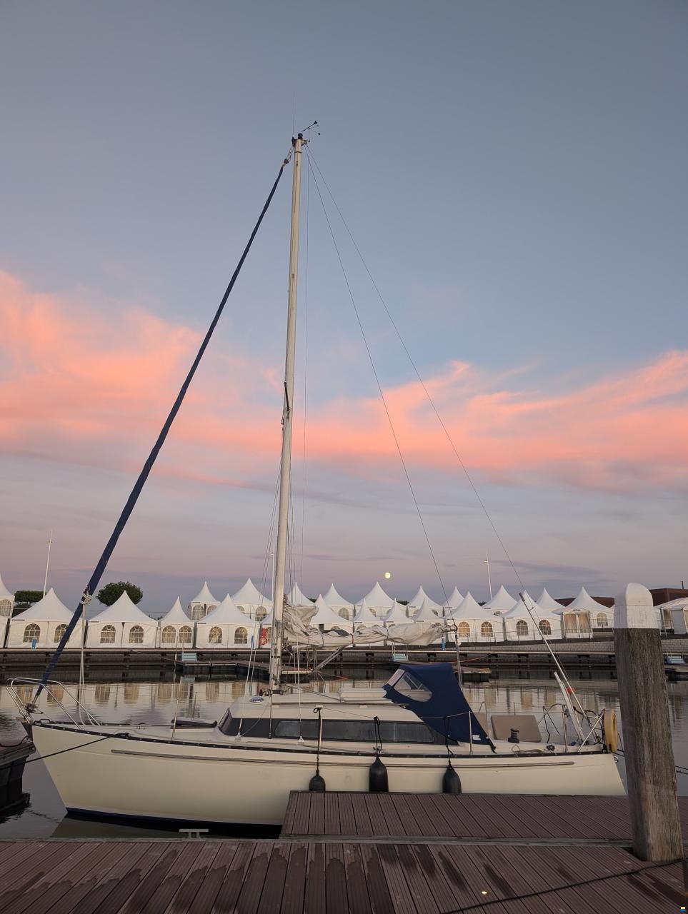 Sturgeon 28