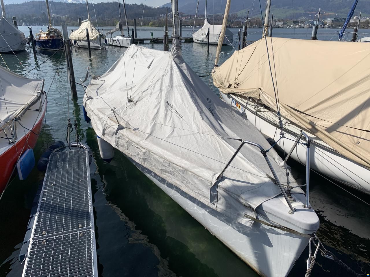 Maxi Dolphin 81