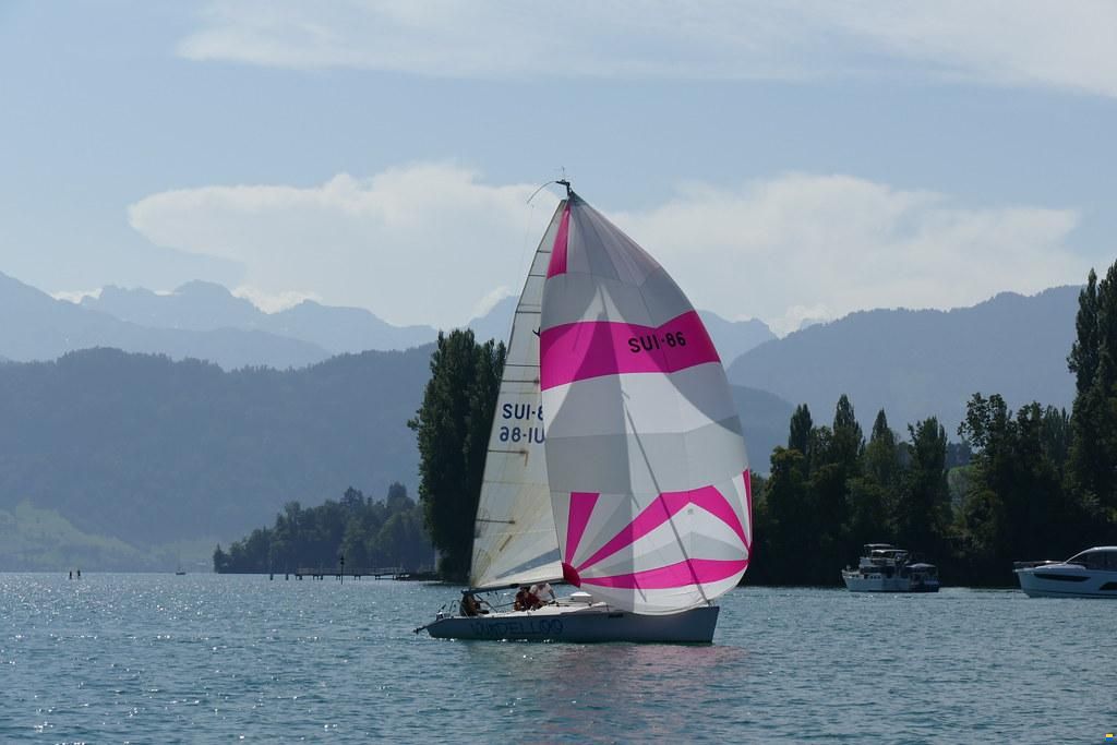 Maxi Dolphin 81