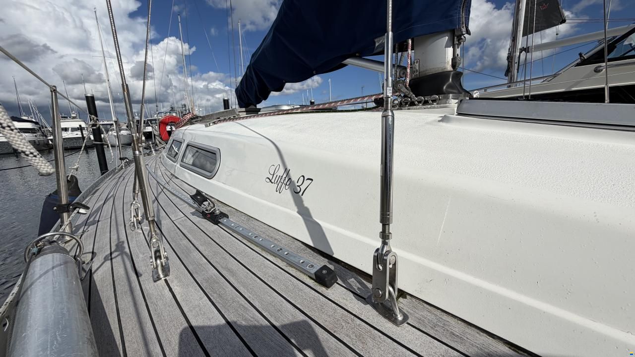 Luffe 37