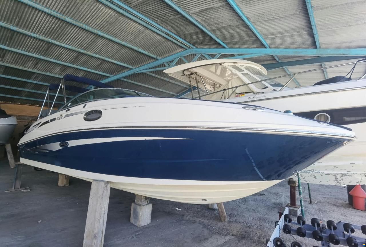 Sea Ray 260 Sundeck