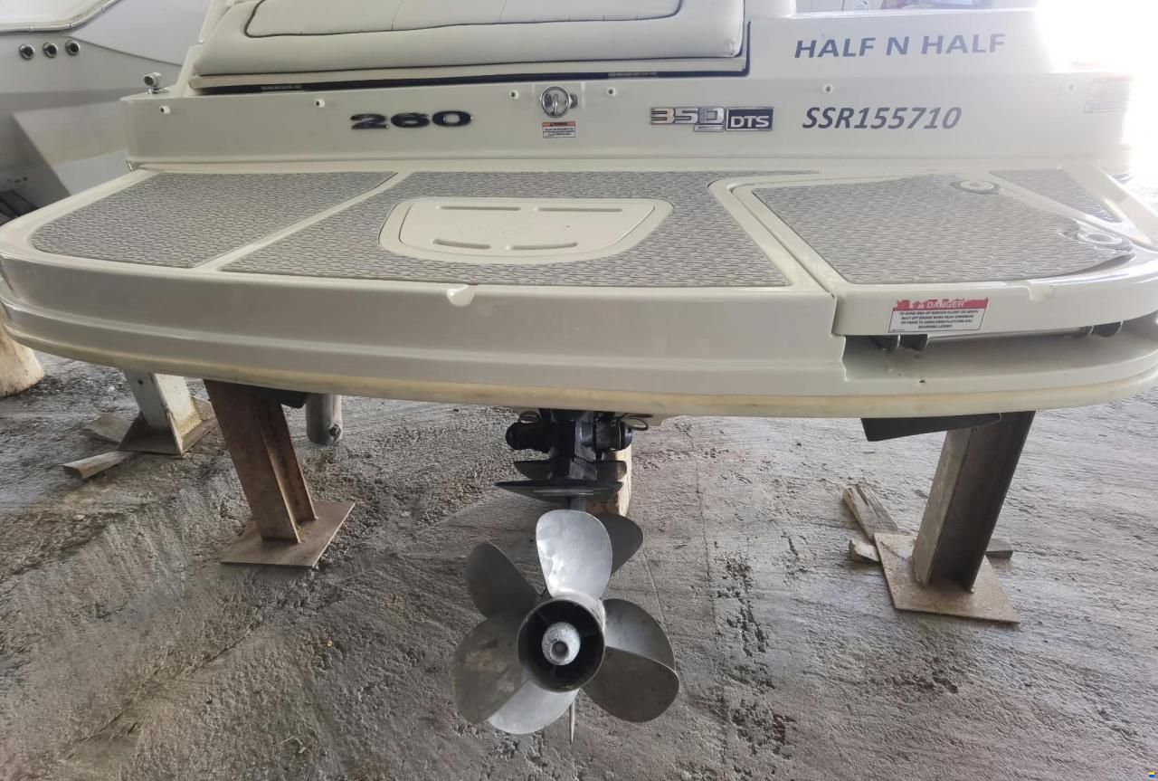Sea Ray 260 Sundeck