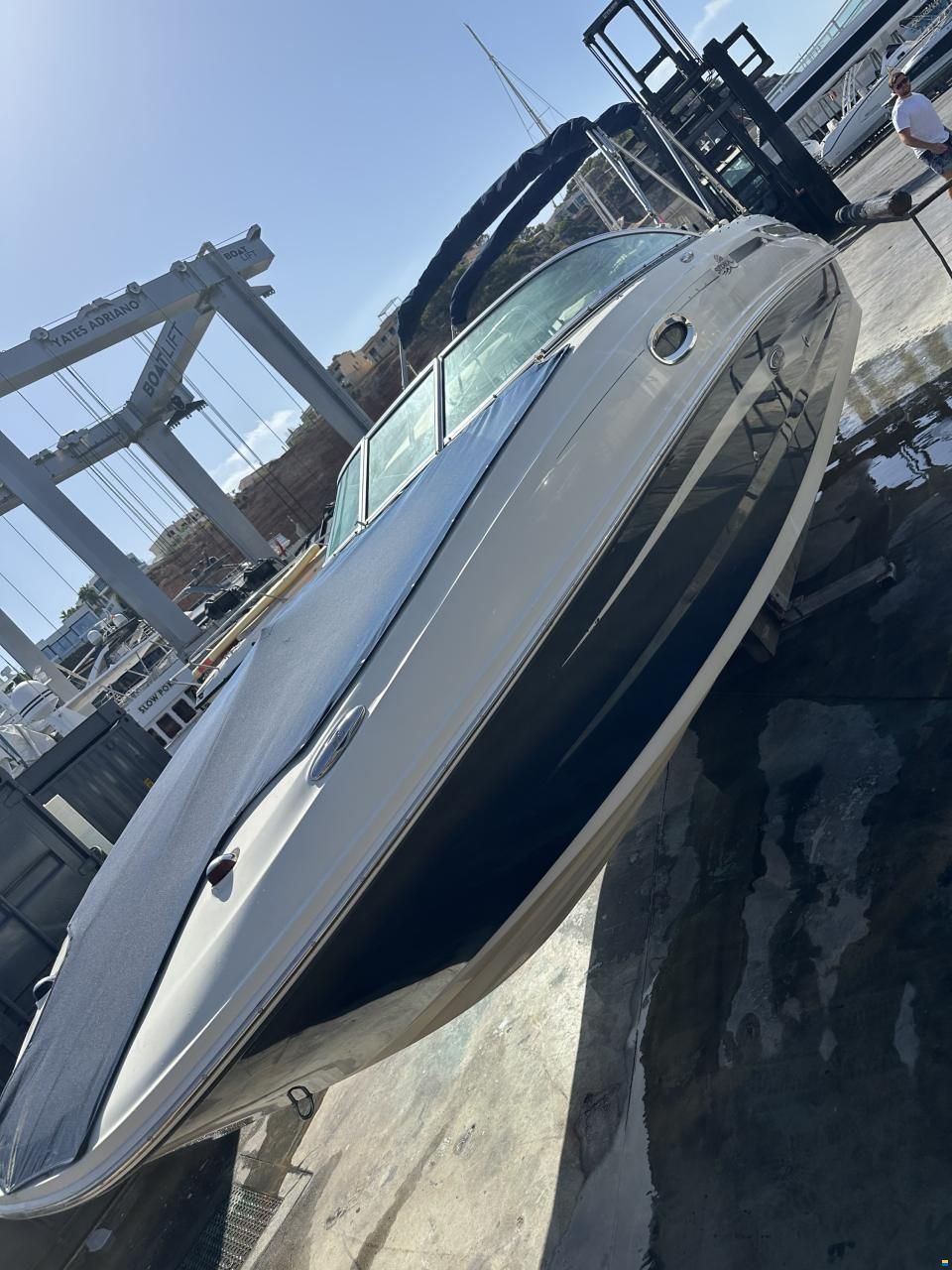 Sea Ray 260 Sundeck
