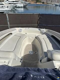 Sea Ray 260 Sundeck