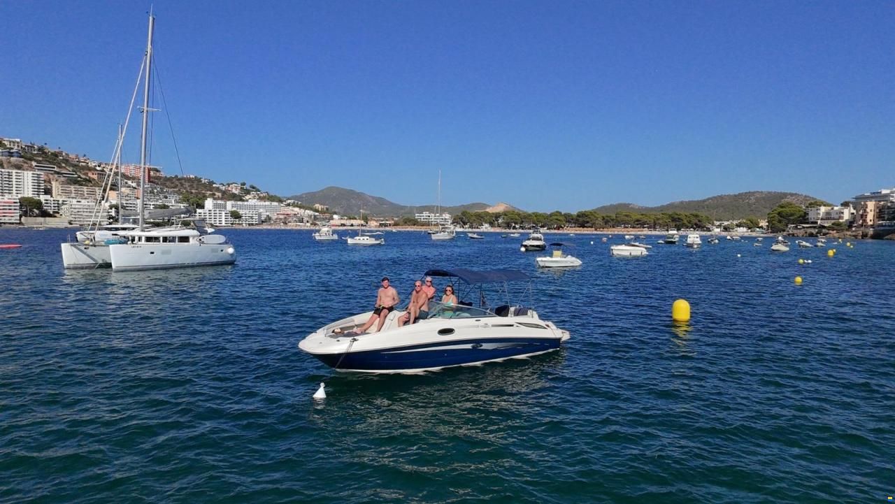 Sea Ray 260 Sundeck