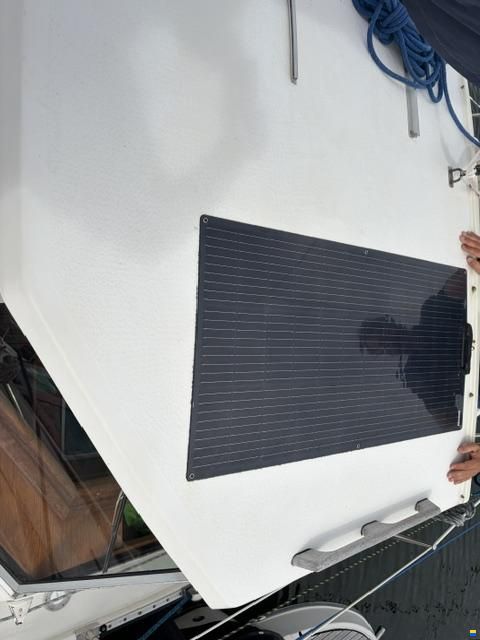 Venus 31