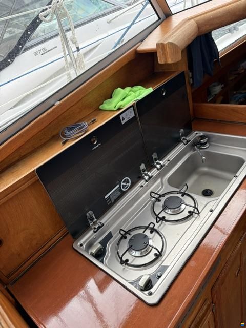 Venus 31
