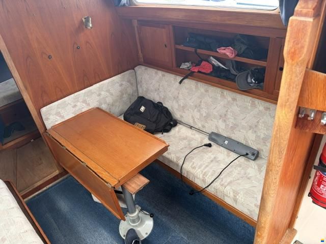 Venus 31