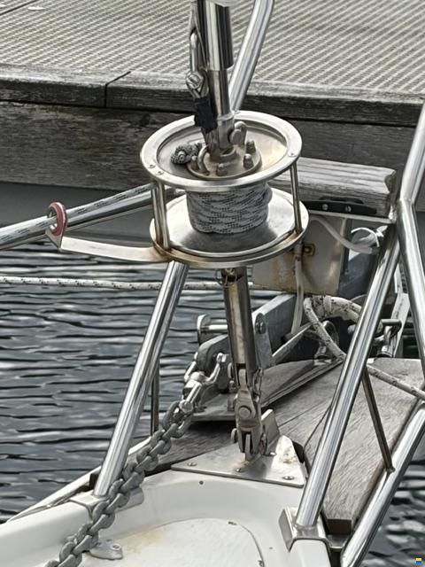 Venus 31